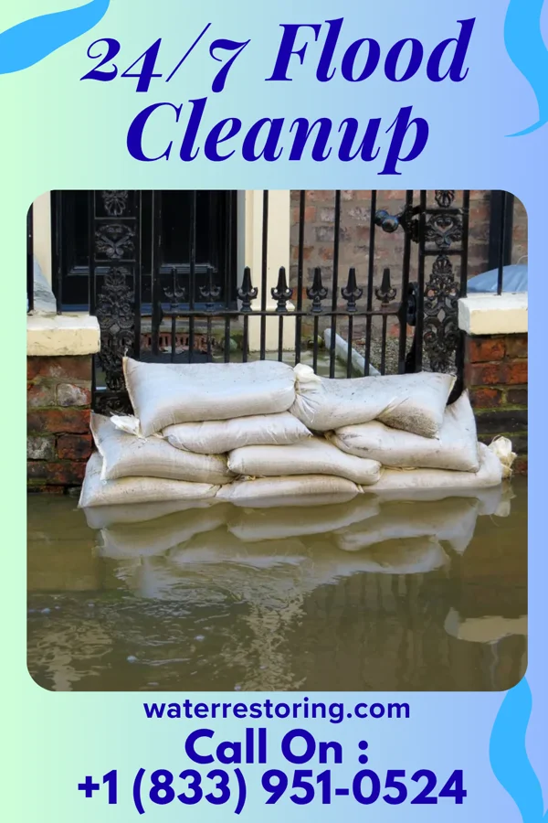 24/7 Flood Cleanup in Rocky Ripple, IN