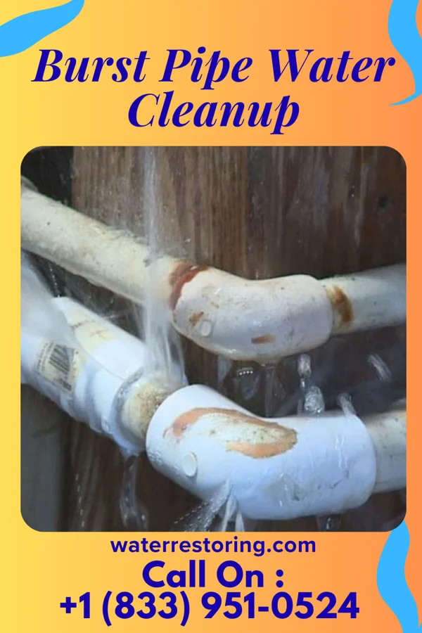 Burst Pipe Water Cleanup in Rocky Ripple, IN