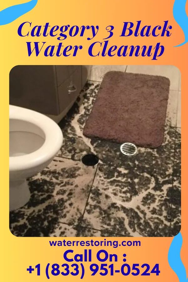 Category 3 Black Water Cleanup in Rocky Ripple, IN