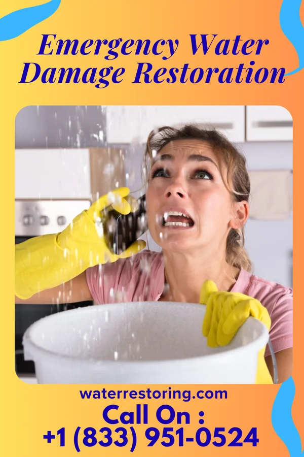 Emergency Water Damage Restoration in Rocky Ripple, IN