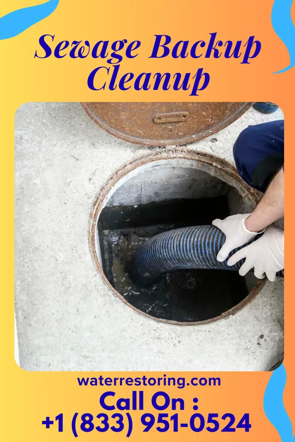 Sewage Backup Cleanup in Rocky Ripple, IN