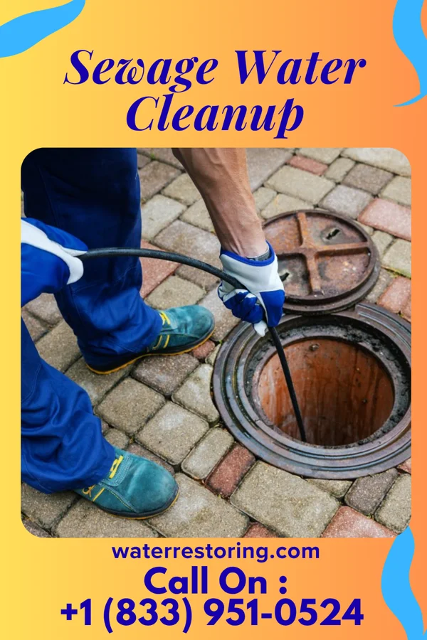 Sewage Water Cleanup in Rocky Ripple, IN
