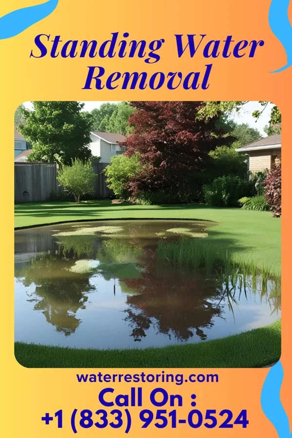 Standing Water Removal in Rocky Ripple, IN